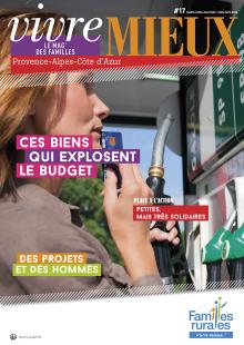 Ces biens qui explosent le budget