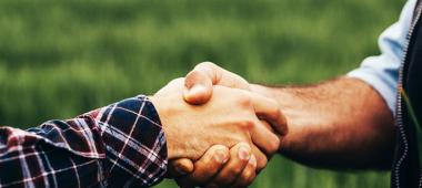 deux personnes se serrent la main