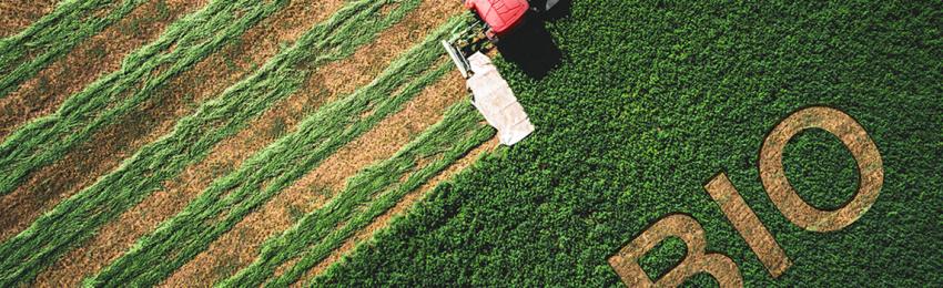 L'Aprifel : un acteur clé de l'éducation à l'alimentation agriculture bio