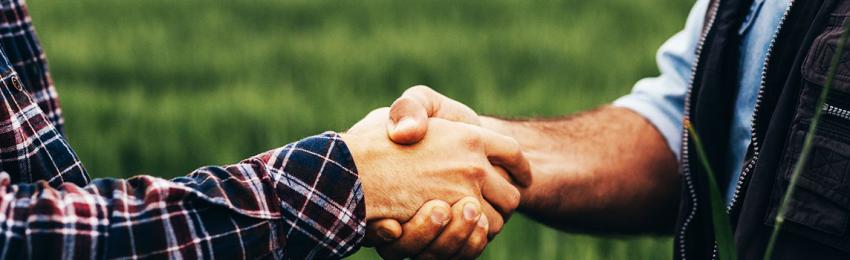 deux personnes se serrent la main