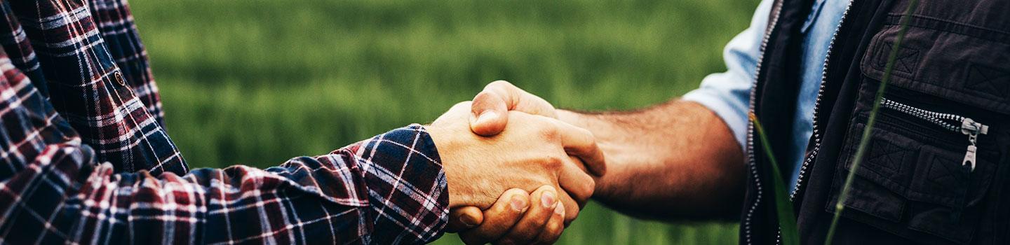deux personnes se serrent la main